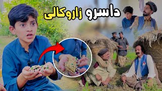 Da Sro zaro Kali  Pashto Funny Video  Pashto Drama 2024 [upl. by Pahl]