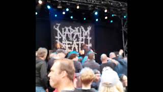 napalm death 2024 pitfest3 [upl. by Ecinrahs]