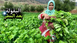 إعداد وجبة البقولة من الحديقة و زراعة البصل بطريقة إحترافية [upl. by Tye]