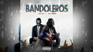 BANDOLEROS  DON OMAR  INSTRUMENTAL CON COROS [upl. by Ssej82]