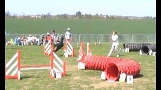 Agility Bouvier Bernois Championnat de Lorraine 2007 [upl. by Han]