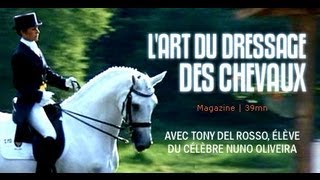 Equitation  Lart de dresser les chevaux [upl. by Sosna]