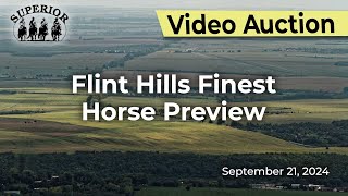 Flint Hills Finest Horse Preview [upl. by Anerbes849]