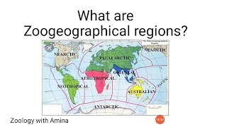 What are zoogeographical regions  How to draw zoogeographical regions map [upl. by Lokkin]