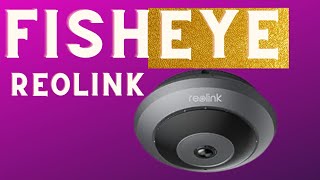 Reolink FishEye Camera Review [upl. by Sou]