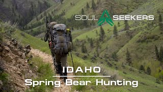 Spring Bear Hunting in Idaho [upl. by Nosa604]