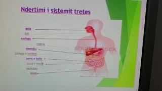 Biologji klasa 6Aparati tretes i njeriut [upl. by Asiulairam]