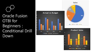 Oracle Fusion OTBI For Beginners  Part 7 Conditionally Enabling Drill Down [upl. by Aylat]