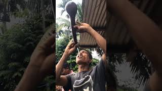 Mande Raako Mana kragiparangChawariSinga GaroCulture AchikTraditions MeghalayaWeddings [upl. by Ahders]