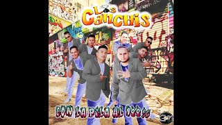 Los Canchis  Echate Paca Audio [upl. by Idonah]