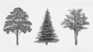 3 Easy Ways To Draw Trees [upl. by Ihtac]