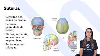 Entenda tudo sobre Articulações  Sistema Osteoarticular [upl. by Nosloc]