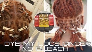 HOW TO DYE LOCS GINGER NO BLEACH L’Oréal HICOLOR HIGHLIGHTS Copper honey blonde ginger [upl. by Isej]