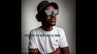 Tribute To Mr Thela Mix  Versity SA [upl. by Naivaj]