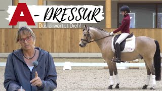 Klasse A🐴 Alles was du wissen musst 💡I Dressuraufgaben by ClipMyHorseTV Academy  ADressur [upl. by Benedikta]