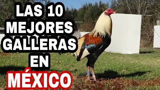 Las 10 mejores Galleras en México [upl. by Katonah272]