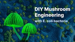 Engineering Mushrooms with E coli [upl. by Hteik830]