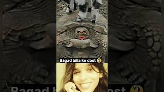 Mood kharab kar Diya 🤣😂 funny bagadbillacomedy bagadbilla funnyvideo comedy viralvideo [upl. by Jesselyn]