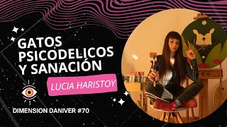 quotGatitos psicodélicos y Sanaciónquot Con Lucia Haristoy [upl. by Warrick757]