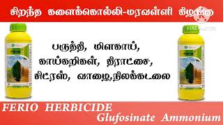 Ferio herbicide Review  சிறந்த களைக்கொல்லிமரவள்ளி கிழங்கு  Ferio in tamil  FERIO  Gramathan [upl. by Burg]