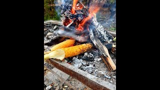 Grilled Corncob in Jungle [upl. by Macintosh]