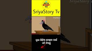 rani school re didi hela birdstories cartoon majagapaodia [upl. by Basile282]