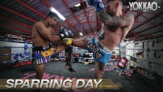 Muay Thai Sparring  Liam Harrison Vs Superlek  YOKKAO Training Center [upl. by Nylauqcaj]