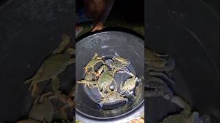 Kakra 🦀 কেকুৰা আছে চাওক fishing viralreels fishingtechniques yotubeshort [upl. by Small]