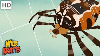 Wild Kratts  Bugs Part 1  Insects Arachnids Worms and other Creepy Crawlies [upl. by Ettie918]