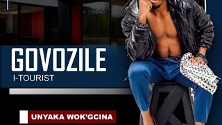 Govozile  Unyaka Wokugcina [upl. by Nonac976]