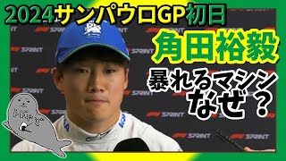 角田裕毅  第21戦サンパウロGP金曜初日  TSUとLAWの違いはコーナーでの挙動か？【2024F1】 [upl. by Amaral]