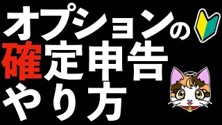 日経平均225先物オプション取引の確定申告のやり方 [upl. by Qifahs]