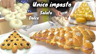 UNICO IMPASTO 2 PREPARAZIONI SALATO E DOLCE 🎄 Brioche sofficissima natalizia 🎄 [upl. by Ahseyt]