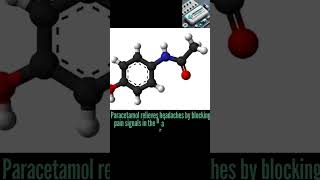 How Does Paracetamol Work for Headache Mechanism Effectiveness amp Dosage Explained [upl. by Ontine83]