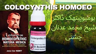 Colocynthis Benefits in Urdu  Colocynthis Single remedy  Homoeo Dr Adnan [upl. by Chlores]