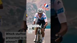 ❓ Tour de France Trivia 9 Stuffed Animal🇫🇷 shorts trivia quiz [upl. by Maybelle305]