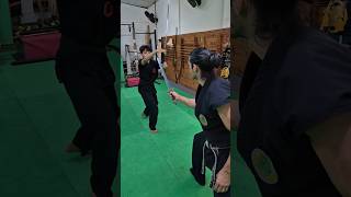 Tsurugi vs Katana 🥷🗡 escoladeninjas ninjutsu ninja kotatsudojo bujinkan [upl. by Eniretac12]