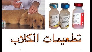 💉 كل المعلومات عن تطعيمات الكلاب 💉 [upl. by Iruahs]