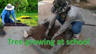 Growing trees at school  country life show Simple Living [upl. by Rednaxela]