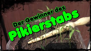 💚Der Gewinner des Pikierstabs📢 [upl. by Johnathan]