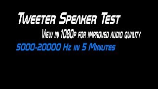 Tweeter Speaker Test [upl. by Ita615]