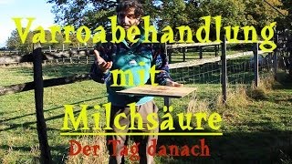 Varroabehandlung mit Milchsäure Der Tag danach [upl. by Sivle]