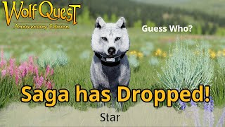 Wolfquest AE Stars Exploration of the Saga Drop [upl. by Notnroht778]