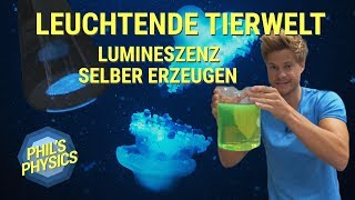 Leuchtende Tierwelt  Lumineszenz selber erzeugen Fluoreszenz amp Phosphoreszenz  Phils Physics [upl. by Amehr153]