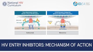 MiniLecture Series HIV Entry Inhibitors Mechanism of Action [upl. by Ibrik]