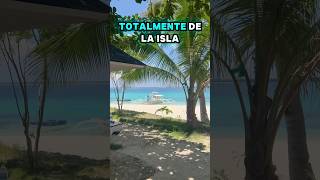 Descubre Virgin Island una de las islas paradisiacas de Filipinas shorts virginisland filipinas [upl. by Gally]