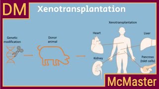 Demystifying Xenotransplantation First Pig to Human Heart Transplant Part 1 [upl. by Fesuoy]