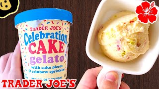 Celebration Cake Gelato with Cake Pieces amp Rainbow Sprinkles  Trader Joe’s Product Review [upl. by Irpac]