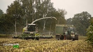 Lohnunternehmen Henke häckselt Mais für eine Biogasanlage in Niedersachsen HD [upl. by Armillas]