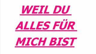 Weil du alles für mich bist Yviischatz x3 [upl. by Sofia]